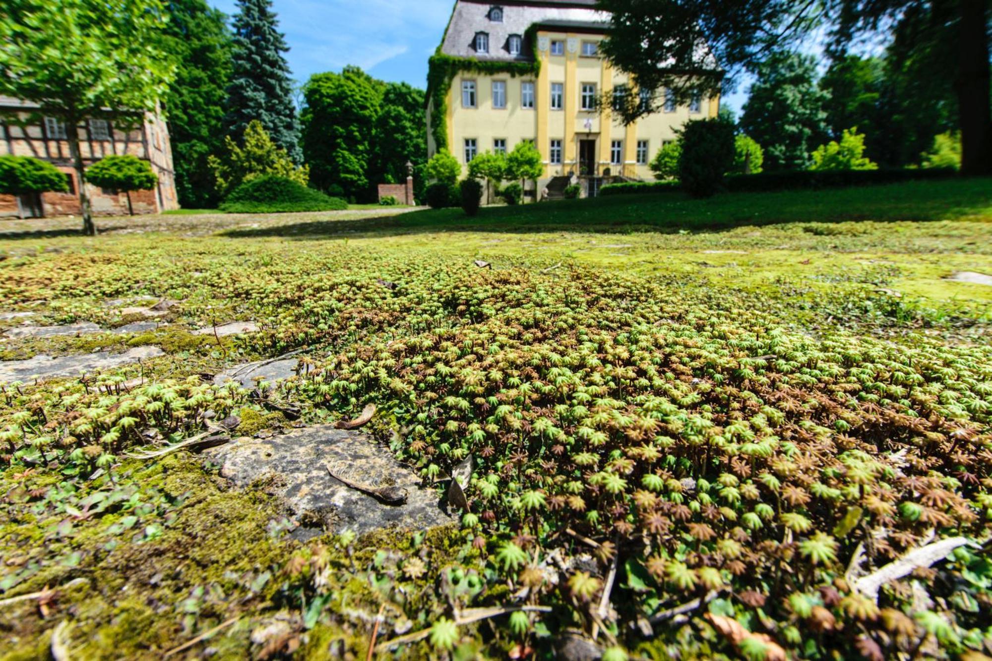 Rittergut/Gutshaus Grossgestewitz Naumburg  Zewnętrze zdjęcie